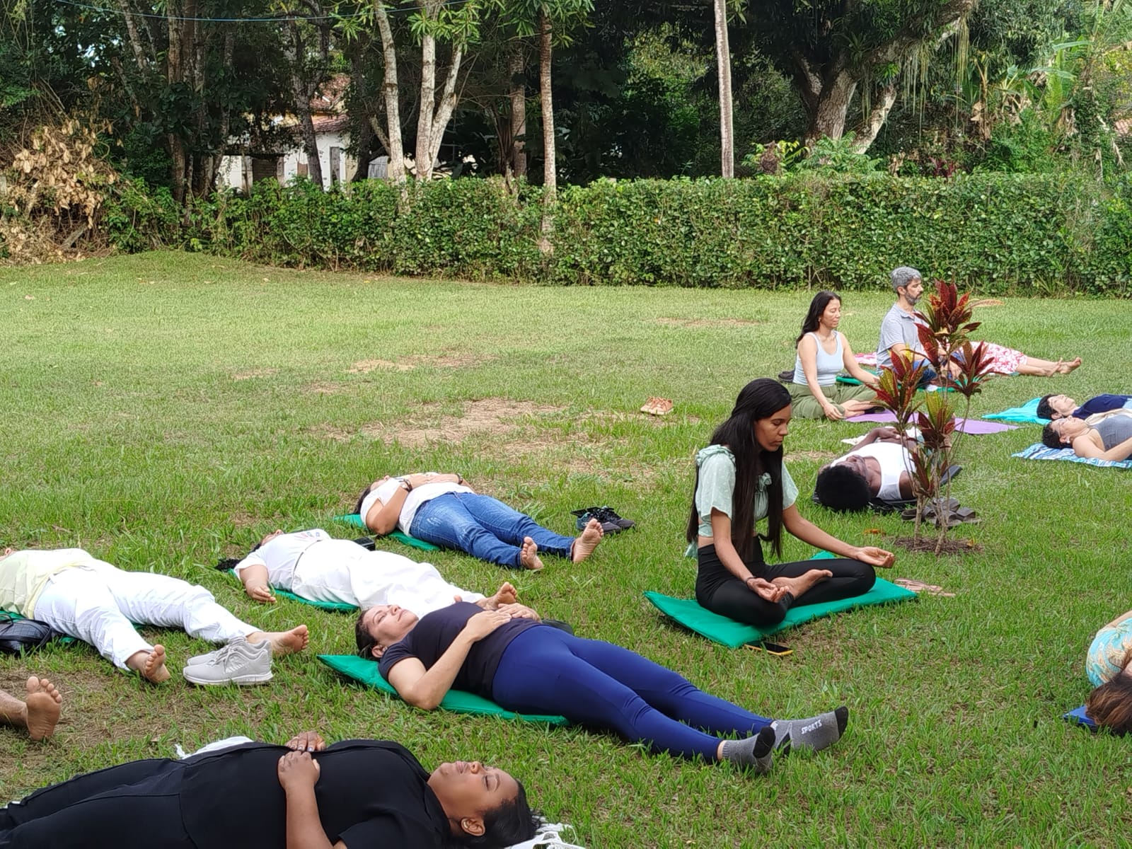 Meditação Coletiva